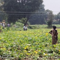 TPSOH recovering encroached Land's from farmer's at Chichuraganapalli Lake
